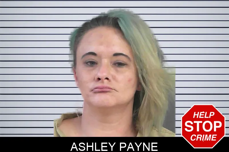Ashley Payne mugshot
