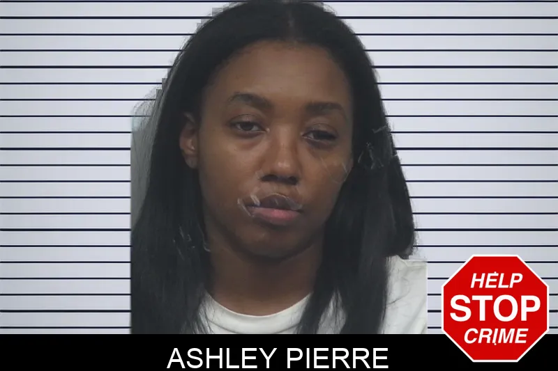 Ashley Pierre Mugshots