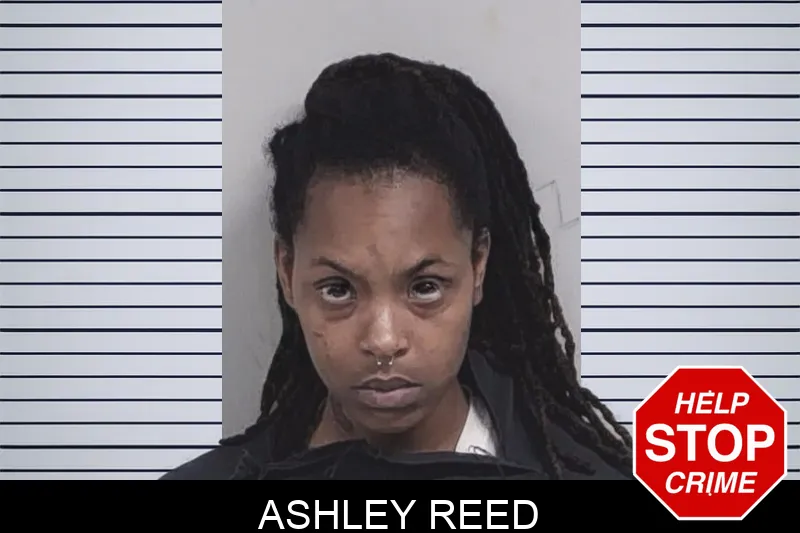 Ashley Reed Mugshots