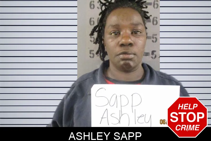 Ashley Sapp Mugshots
