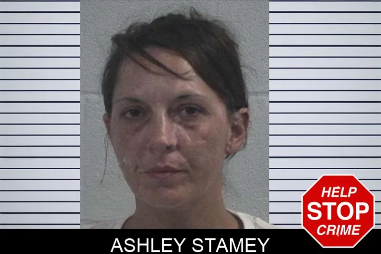 Ashley Stamey mugshot – McDuffie County , Georgia Ashley Stamey
