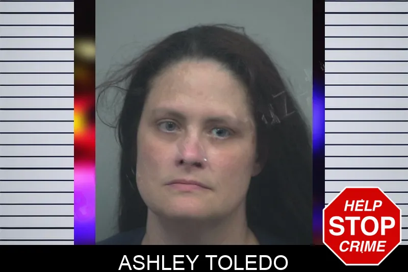Ashley Toledo Mugshots