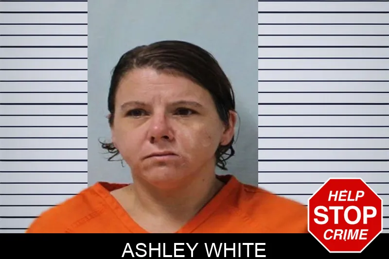 Ashley White Mugshots