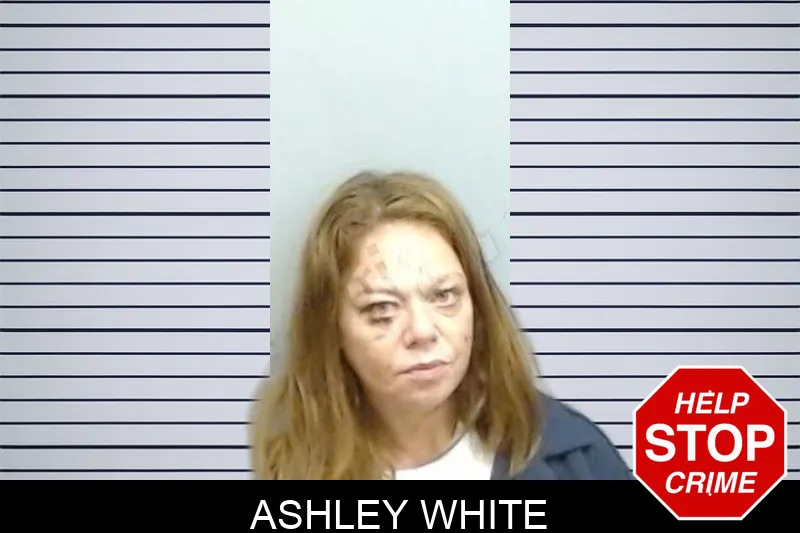 Ashley White mugshot