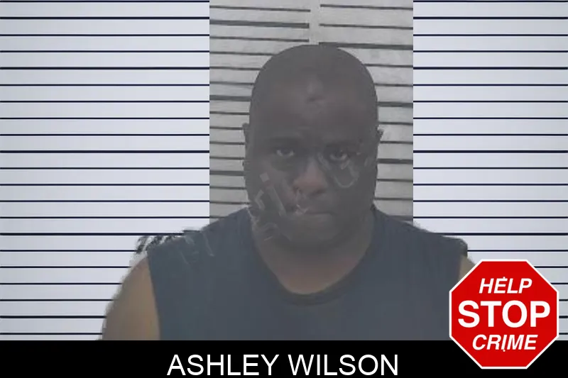 Ashley Wilson Mugshots