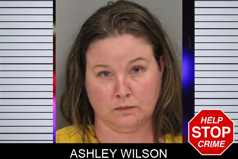 Ashley Wilson mugshot