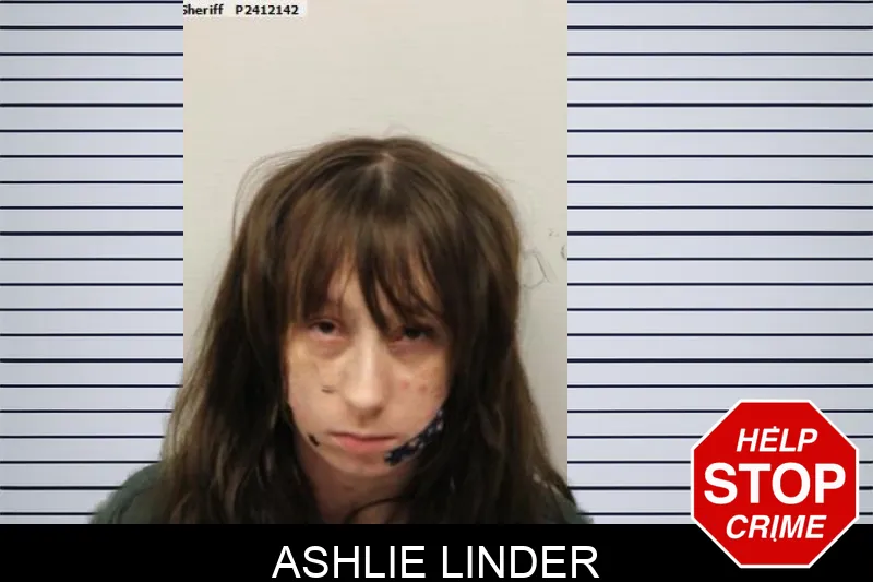 Ashlie Linder Mugshots