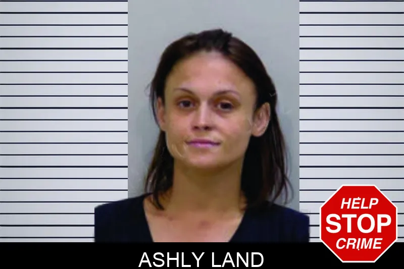 Ashly Land Mugshots