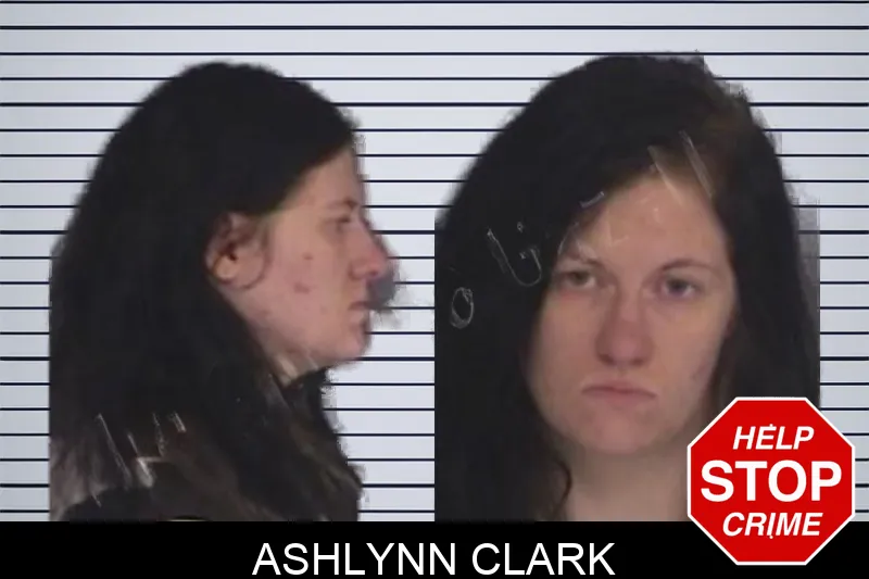 Ashlynn Clark Mugshots