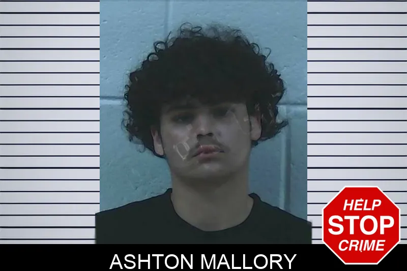 Ashton Mallory Mugshots
