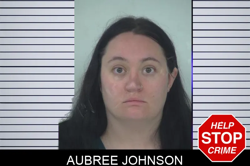 Aubree Johnson Mugshots