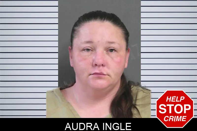 Audra Ingle Mugshots