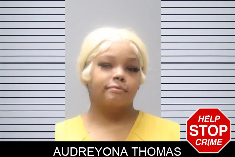 Audreyona Thomas mugshot