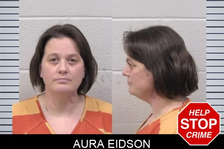 Aura Eidson mugshot – Paulding County , Georgia Aura Eidson