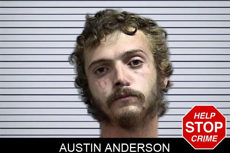 Austin Anderson Mugshots
