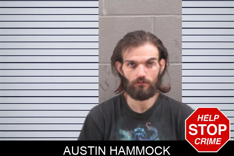 Austin Hammock mugshot