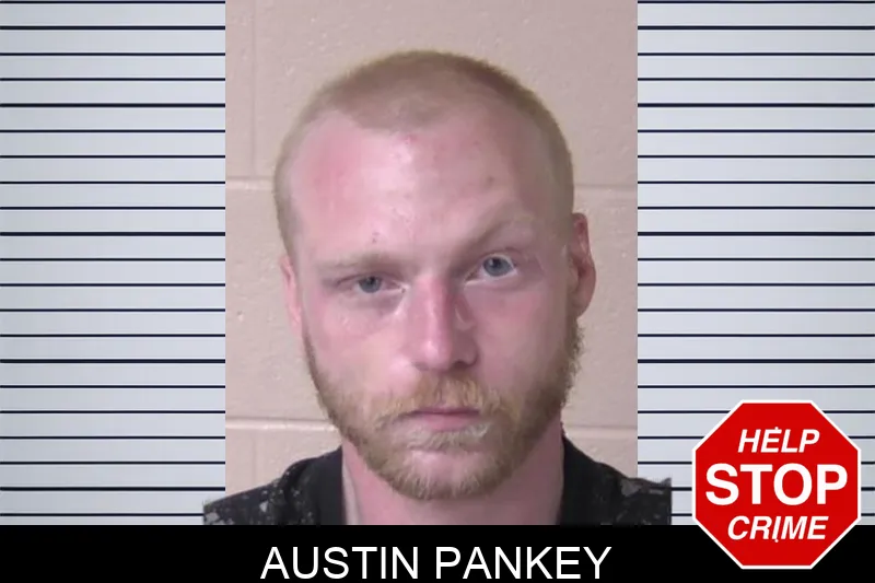 Austin Pankey Mugshots
