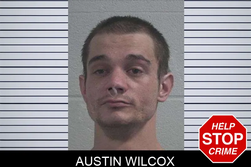 Austin Wilcox Mugshots