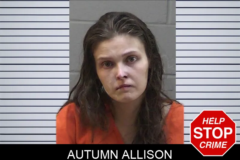 Autumn Allison Mugshots
