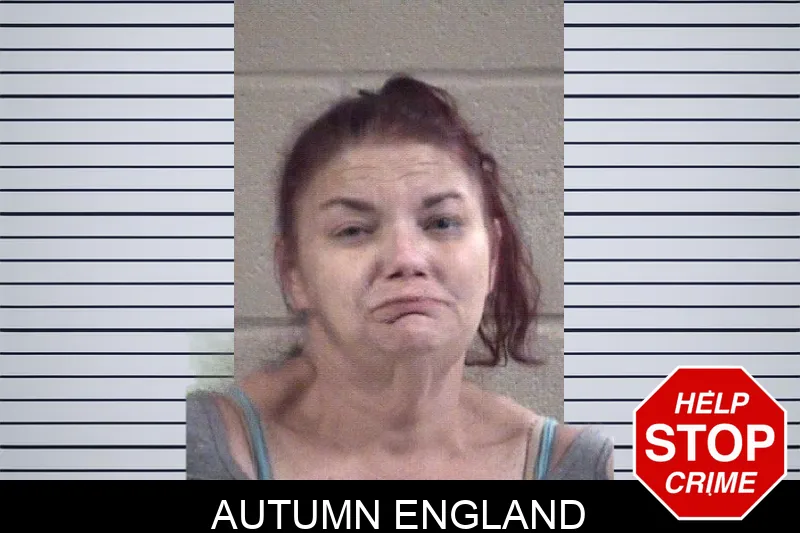 Autumn England Mugshots