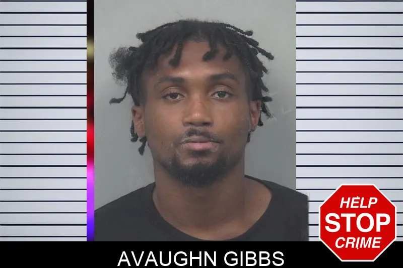 Avaughn Gibbs Mugshots
