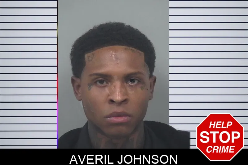 Averil Johnson mugshot