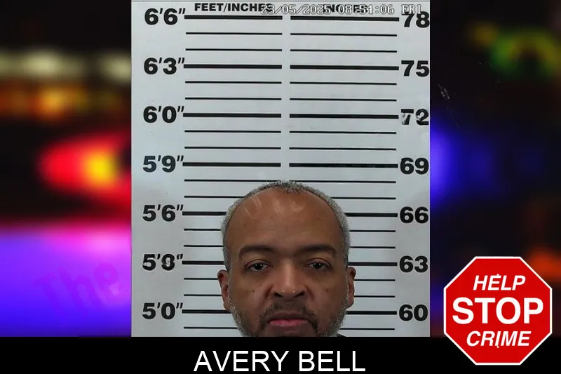 Avery Bell Mugshots