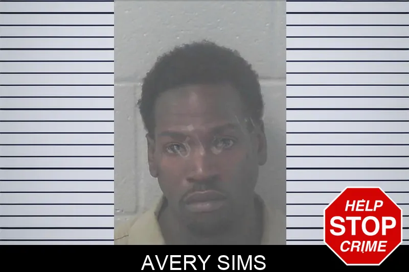 Avery Sims Mugshots