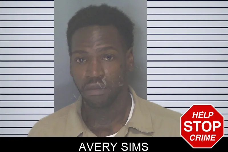 Avery Sims mugshot