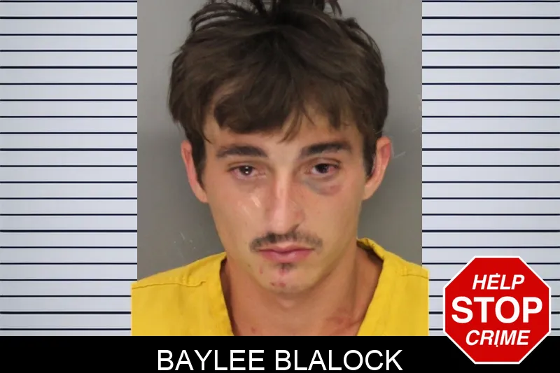 Baylee Blalock Mugshots