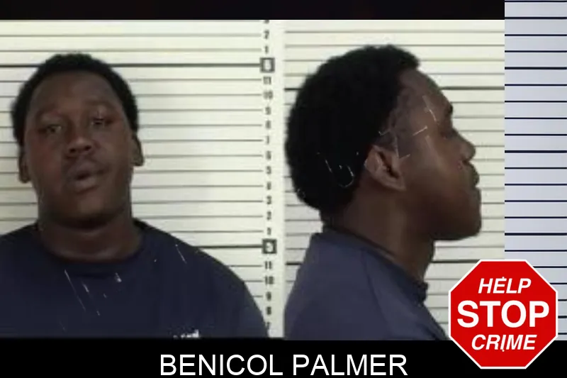 Benicol Palmer Mugshots