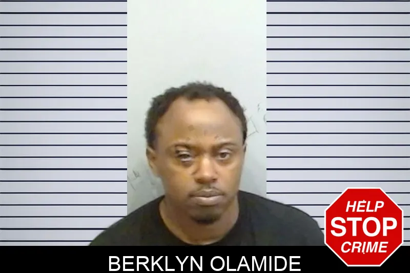 Berklyn Olamide mugshot