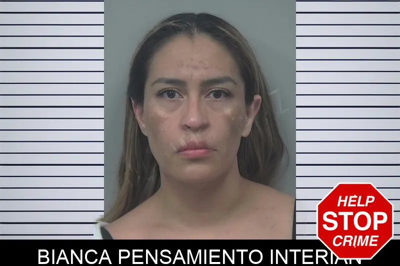 Bianca Pensamiento Interian Mugshots