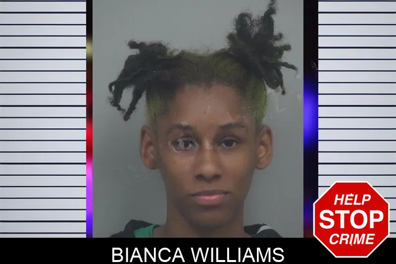 Bianca Williams Mugshots