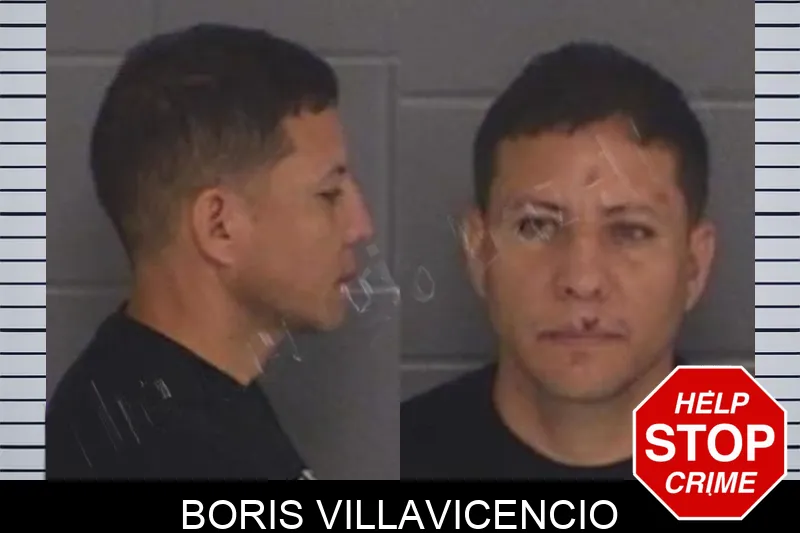 Boris Villavicencio Mugshots