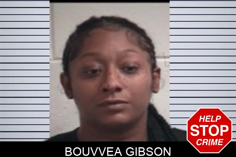 Bouvvea Gibson Mugshots