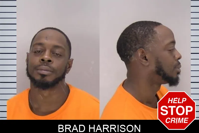 Brad Harrison Mugshots