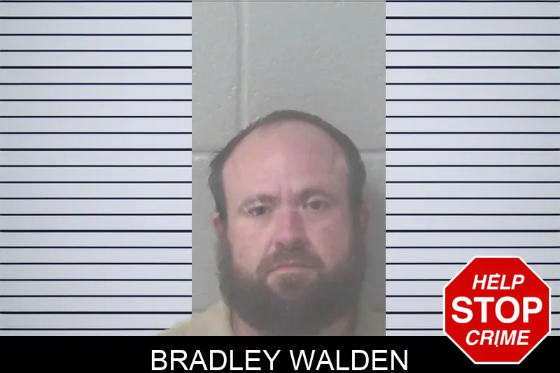 Bradley Walden Mugshots