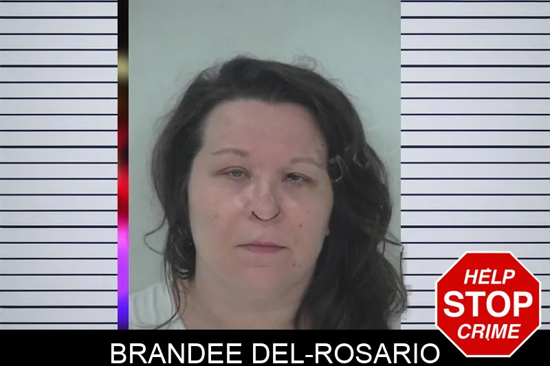 Brandee Del-Rosario Mugshots