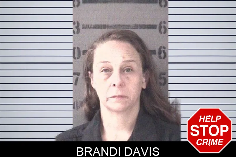 Brandi Davis Mugshots