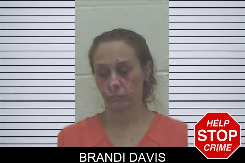 Brandi Davis Mugshots
