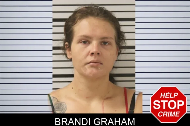 Brandi Graham mugshot – Toombs County , Georgia Brandi Graham