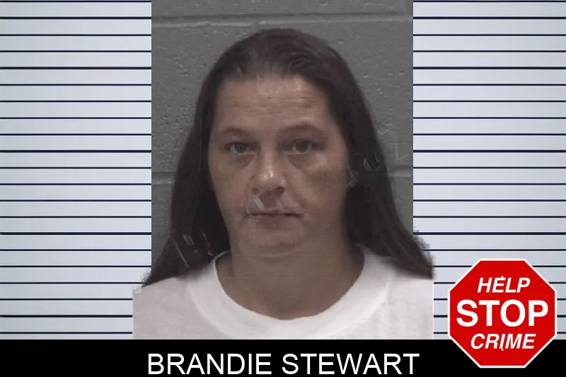 Brandie Stewart Mugshots