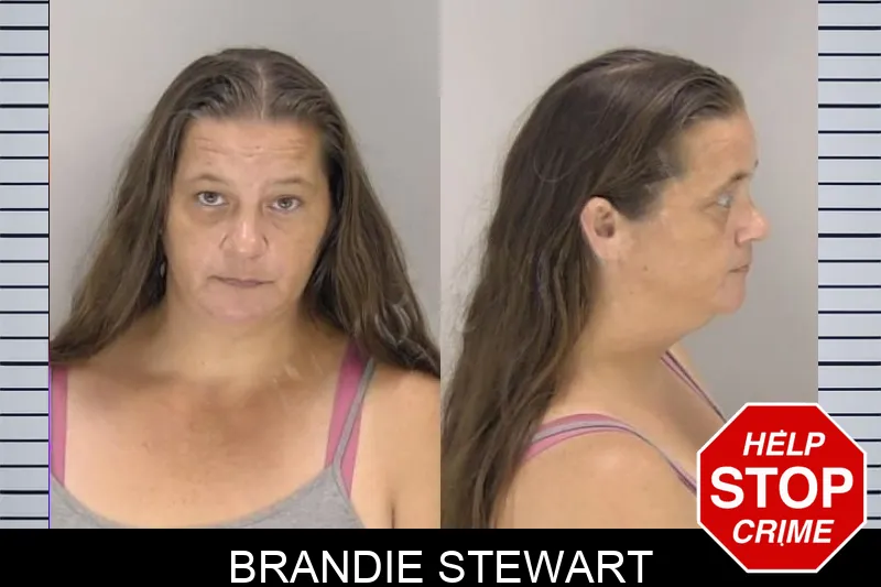 Brandie Stewart Mugshots