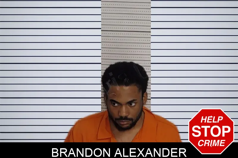 Brandon Alexander Mugshots