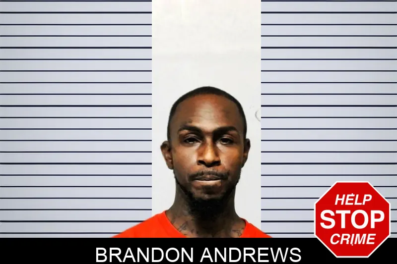 Brandon Andrews mugshot