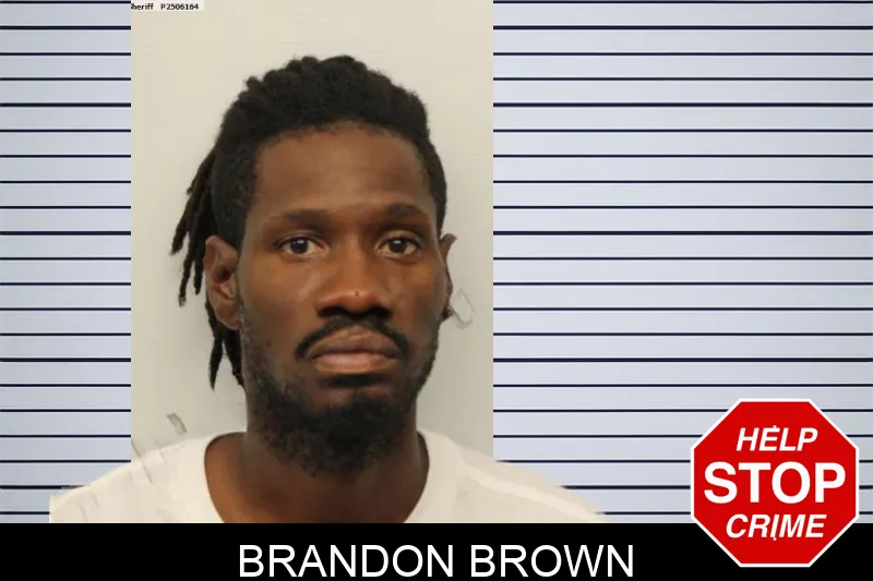 Brandon Brown Mugshots