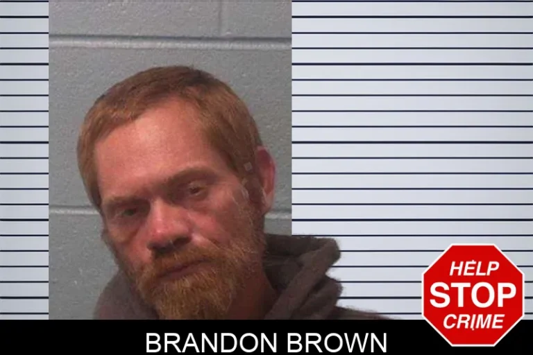 Brandon Brown