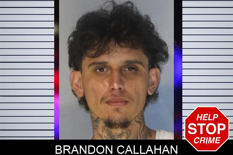 Brandon Callahan Mugshots