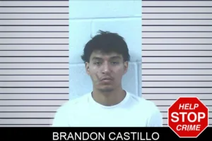 Brandon Castillo mugshot